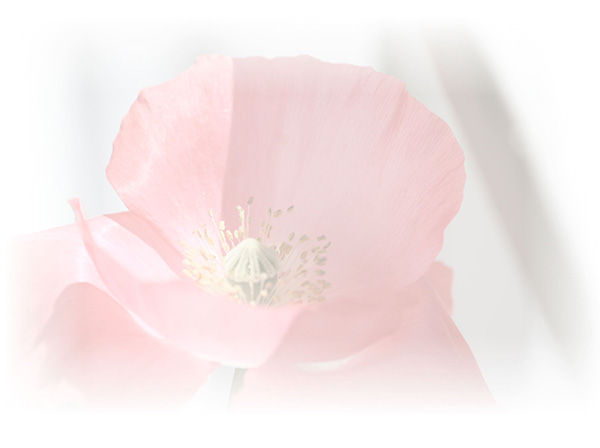 Law of Attraction  Card - Image 3