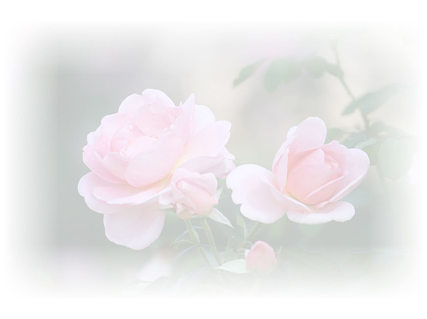 Law of Attraction  Card - Image 3