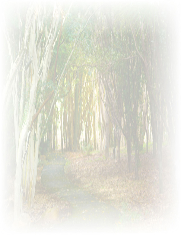 Law of Attraction  Card - Image 3