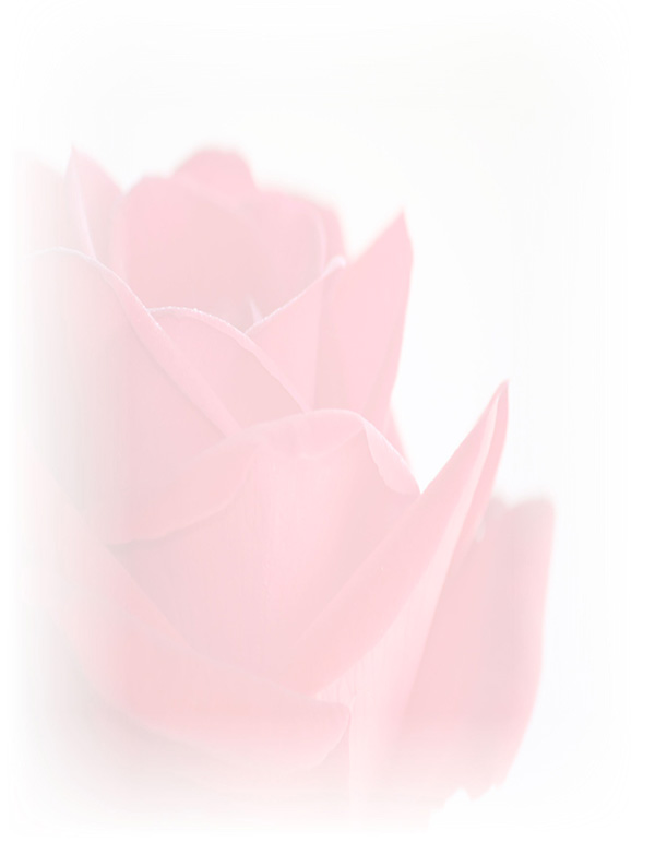 Law of Attraction  Card - Image 3