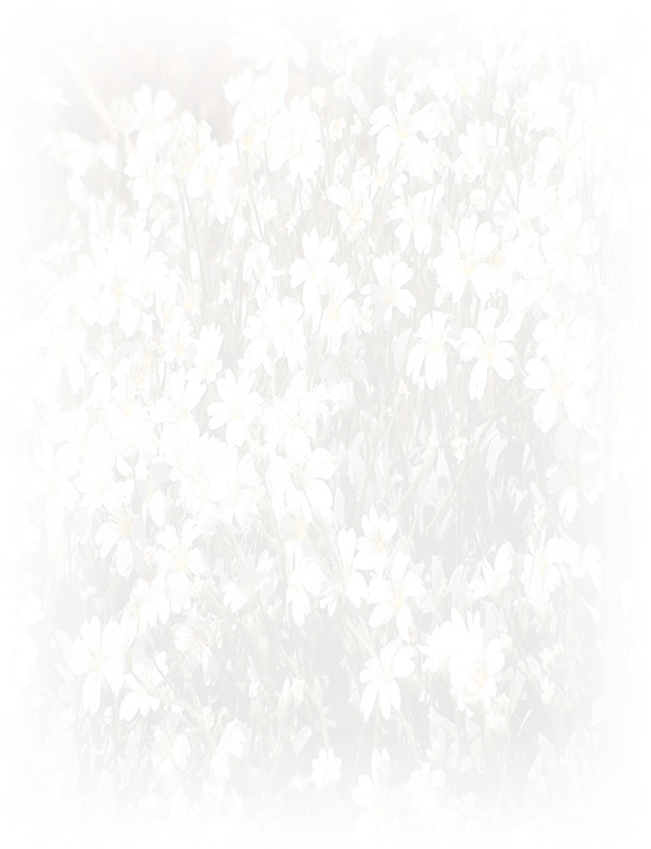 Law of Attraction  Card - Image 3