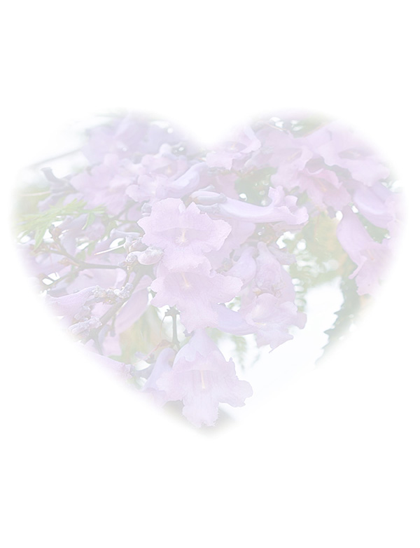 Law of Attraction  Card - Image 3