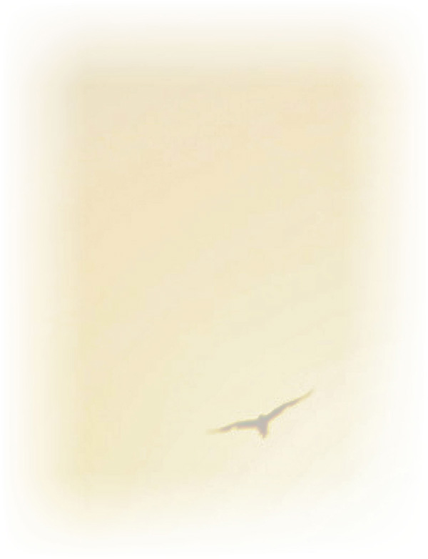 Law of Attraction  Card - Image 3