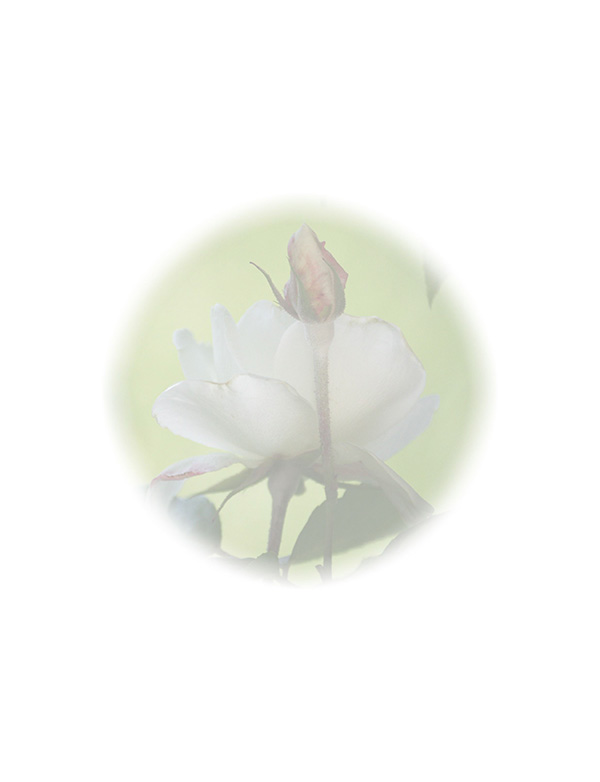 Law of Attraction  Card - Image 3