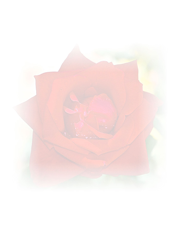 Law of Attraction  Card - Image 3