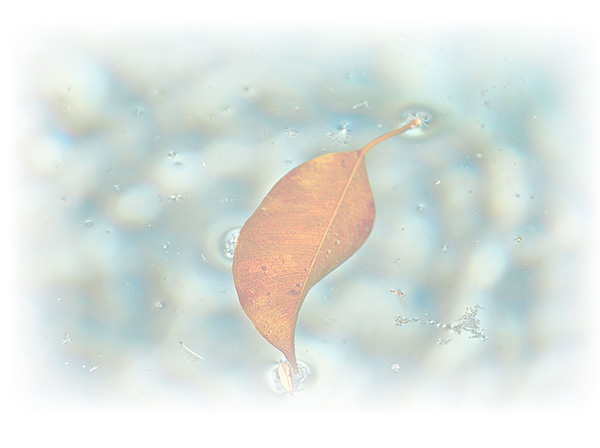 Law of Attraction  Card - Image 3