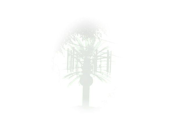 Law of Attraction  Card - Image 3