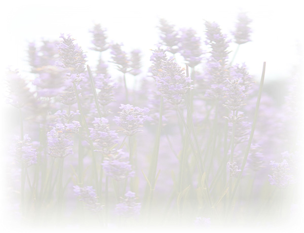 Law of Attraction  Card - Image 3