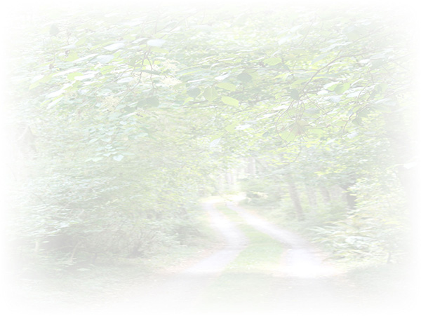 Law of Attraction  Card - Image 3