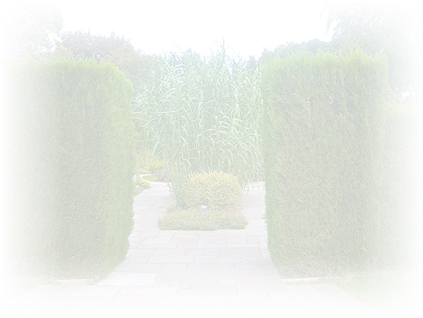 Law of Attraction  Card - Image 3