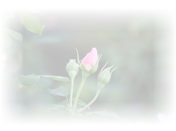 Law of Attraction  Card - Image 3