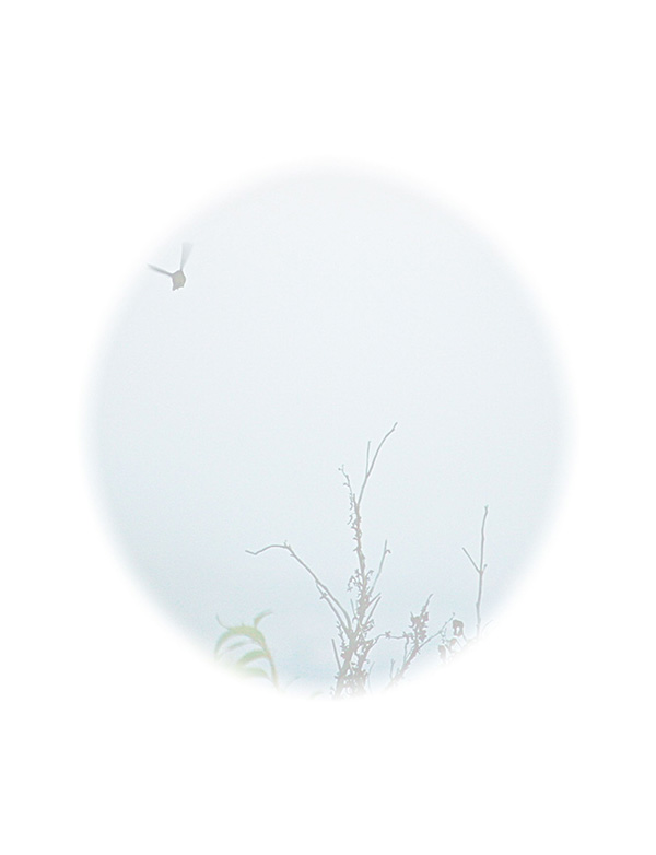 Law of Attraction  Card - Image 3