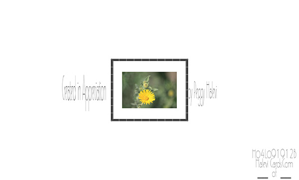Law of Attraction Card - Image 2