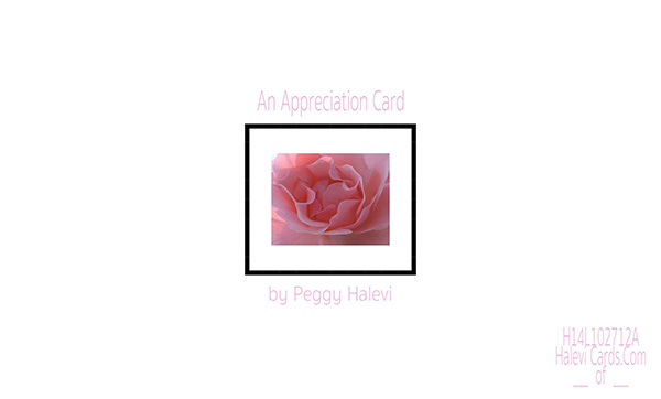 Law of Attraction Card - Image 2