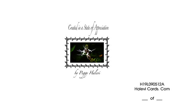 Law of Attraction Card - Image 2