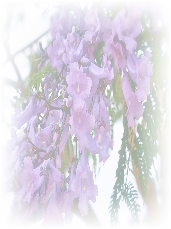 Law of Attraction Card - Image 3