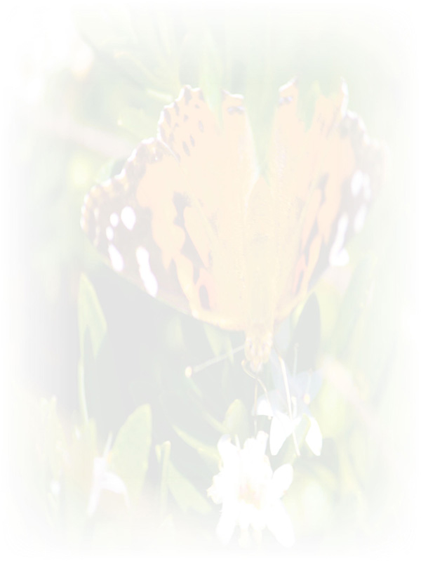 Law of Attraction Card - Image 3