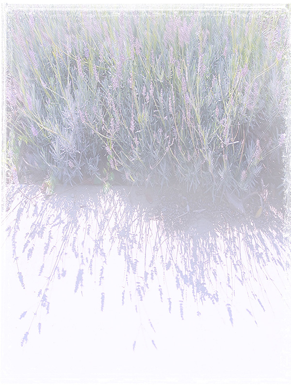 Law of Attraction Card - Image 3