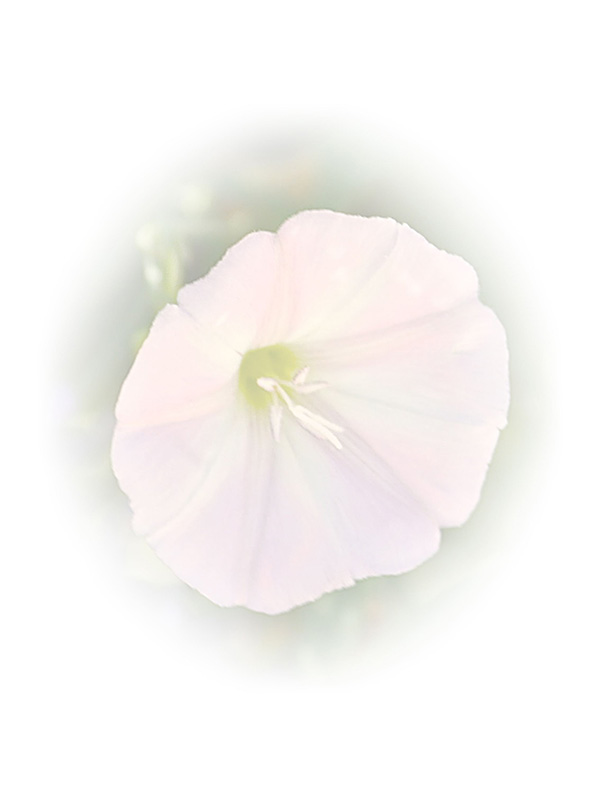 Law of Attraction Card - Image 3