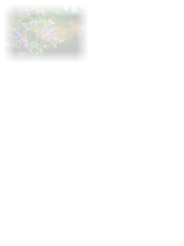 Law of Attraction Card - Image 3
