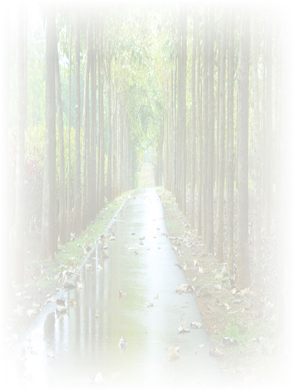 Law of Attraction Card - Image 3