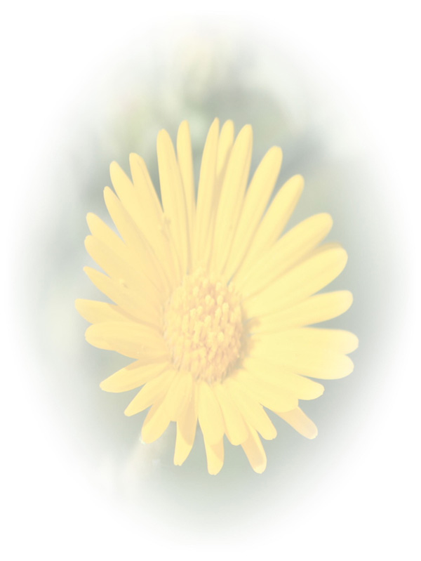 Law of Attraction Card - Image 3