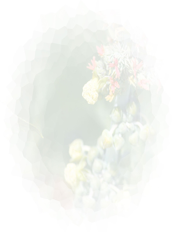 Law of Attraction Card - Image 3