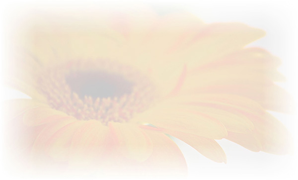 Law of Attraction Card - Image 3