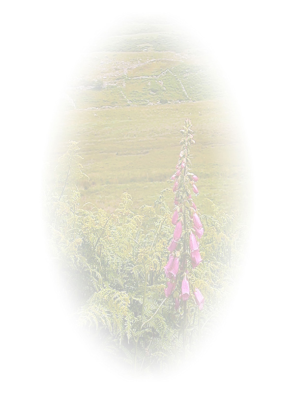Law of Attraction Card - Image 3