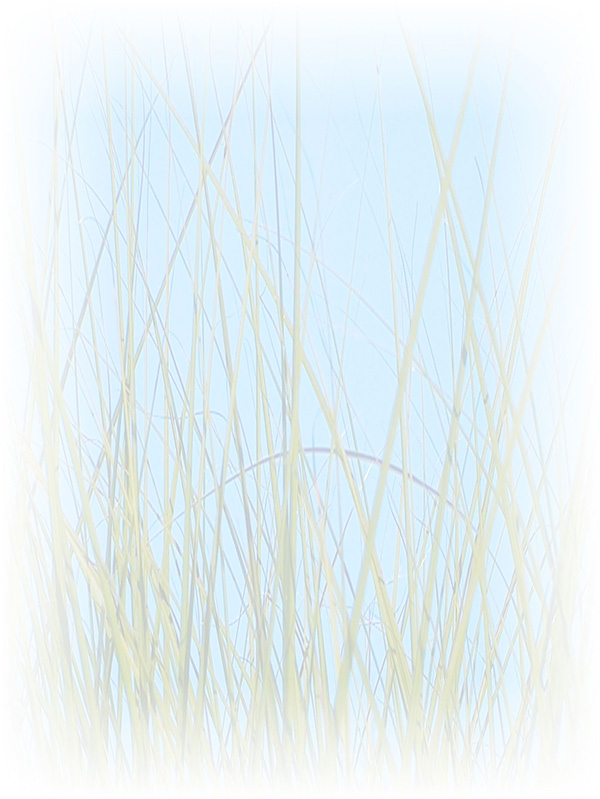 Law of Attraction Card - Image 3