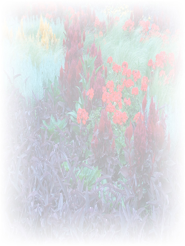 Law of Attraction Card - Image 3
