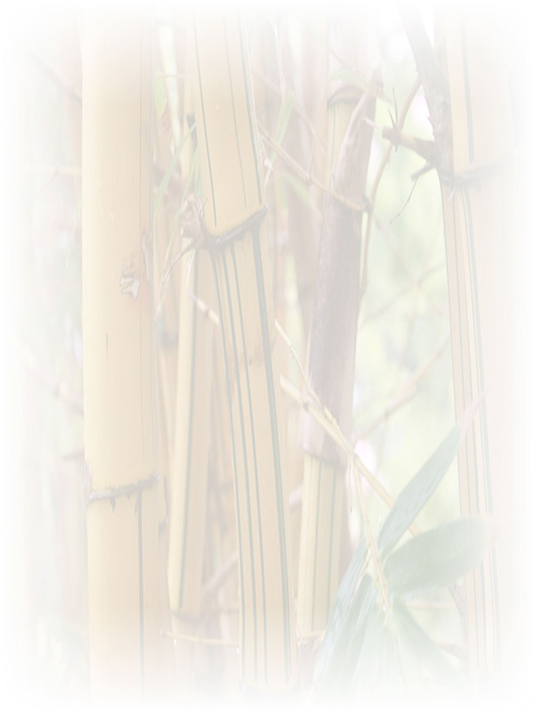Law of Attraction Card - Image 3