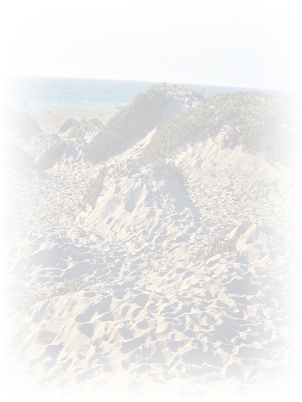 Law of Attraction Card - Image 3