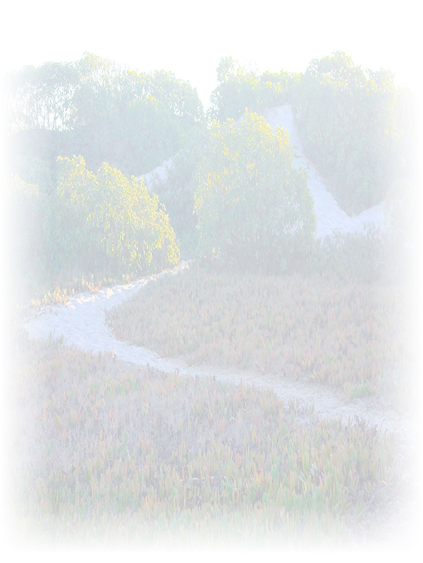 Law of Attraction Card - Image 3