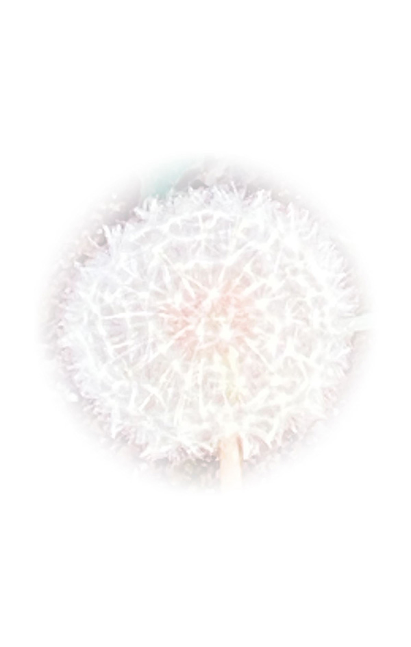Law of Attraction Card - Image 3
