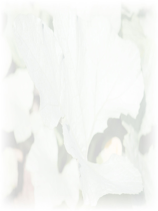 Law of Attraction Card - Image 3