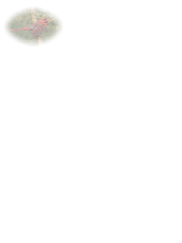 Law of Attraction Card - Image 3