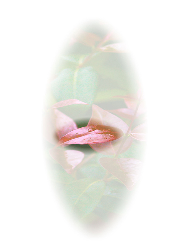 Law of Attraction Card - Image 3