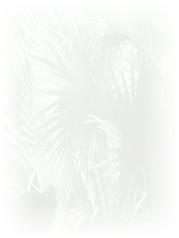 Law of Attraction Card - Image 3