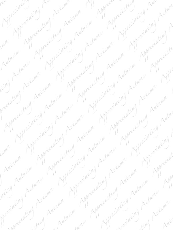 Law of Attraction Card - Image 3