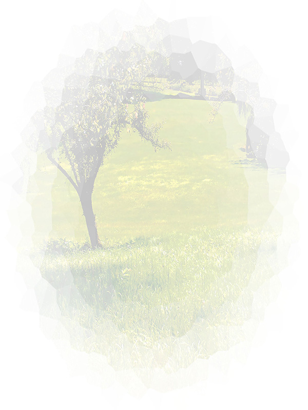 Law of Attraction Card - Image 3