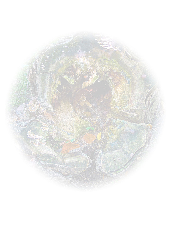 Law of Attraction Card - Image 3