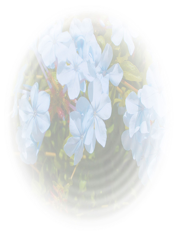 Law of Attraction Card - Image 3