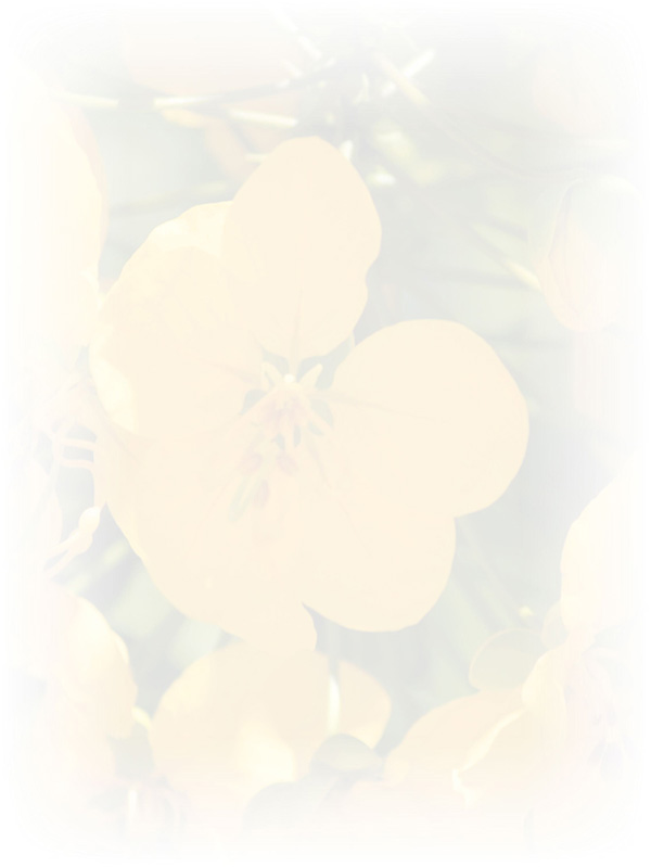 Law of Attraction Card - Image 3