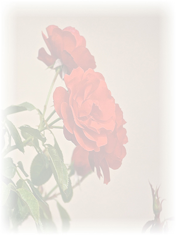 Law of Attraction Card - Image 3