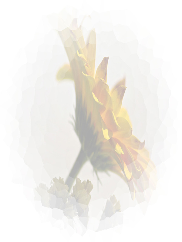 Law of Attraction Card - Image 3