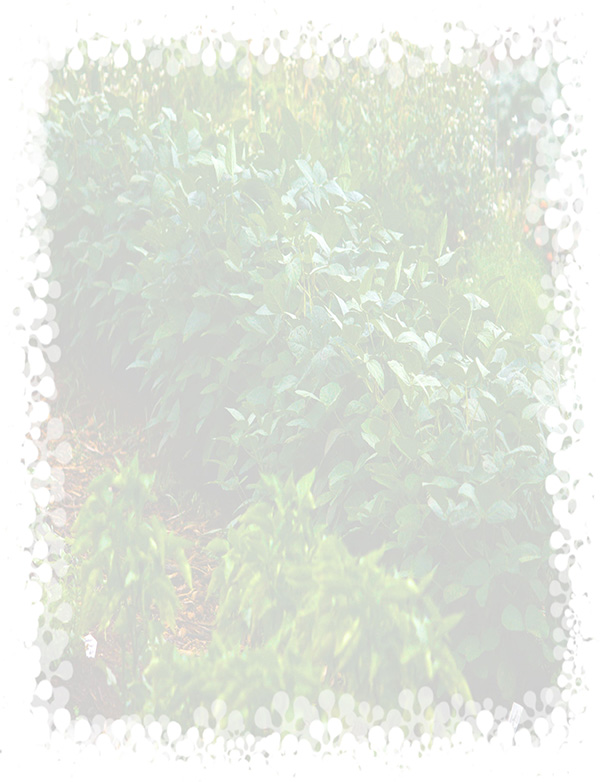 Law of Attraction Card - Image 3