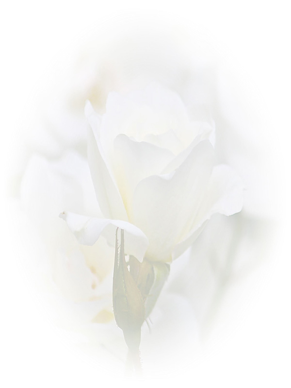 Law of Attraction Card - Image 3