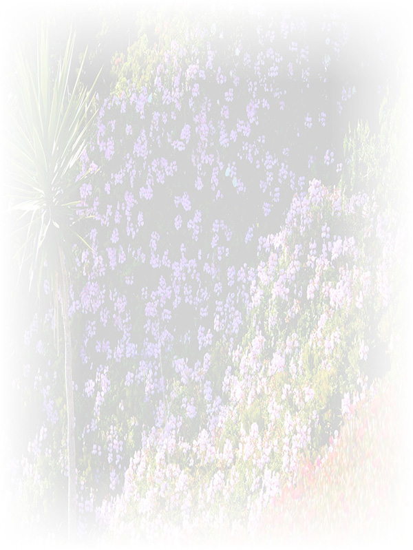 Law of Attraction Card - Image 3