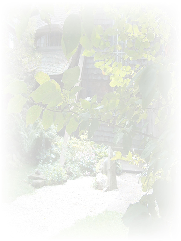 Law of Attraction Card - Image 3